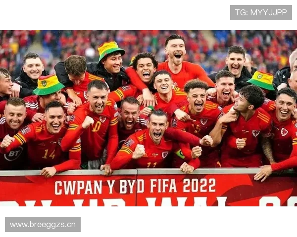 卡塔尔无缘世界杯32强：B组收官结果确定